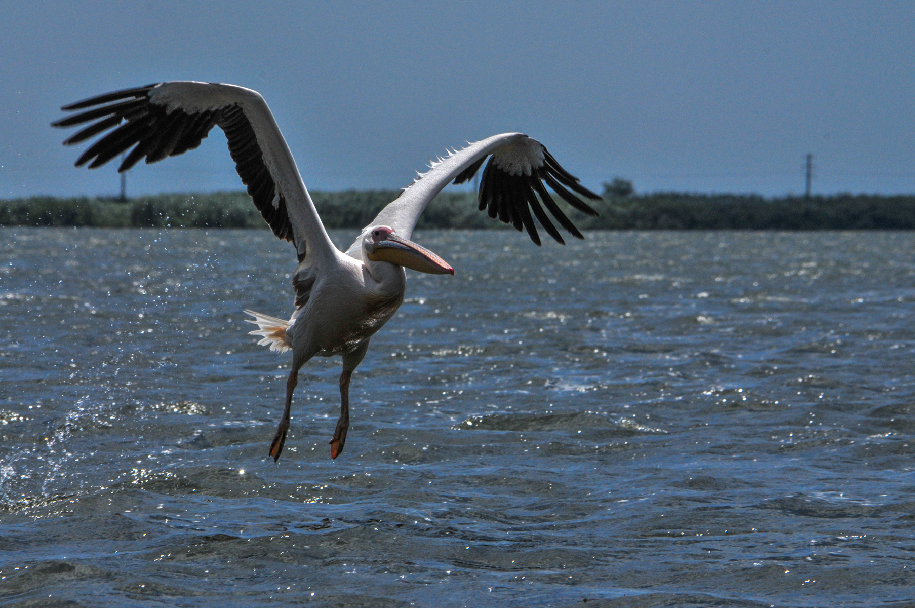 michael-emmerich_flugbilder-1-8